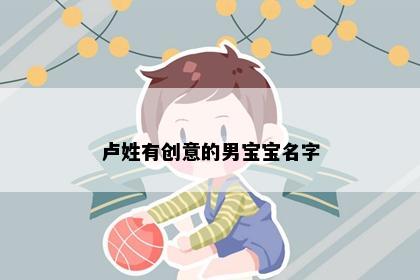 卢姓有创意的男宝宝名字